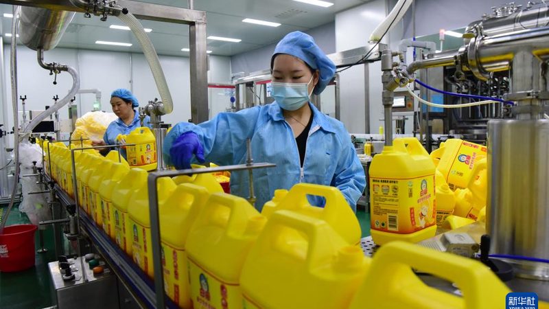 如何挑选性价比高的上海色母粒？揭秘选购要点